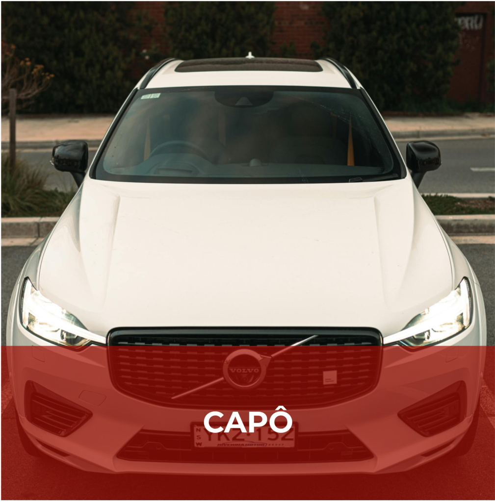capo_MM_AUTOPECAS_IMPORTADOS